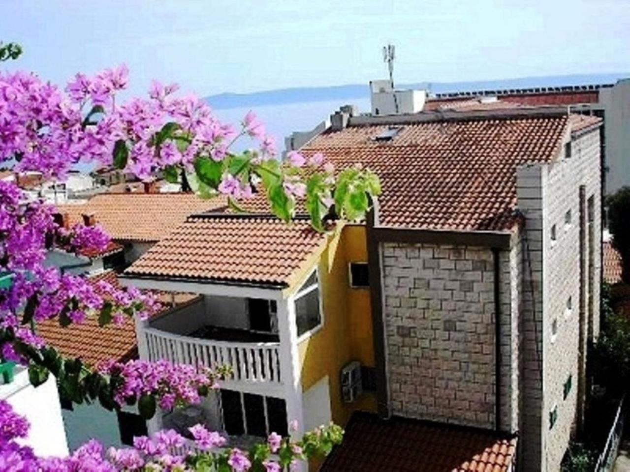Apartman Branko & Anna *